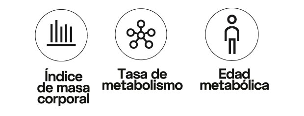 Bascula Corporal metabolismo